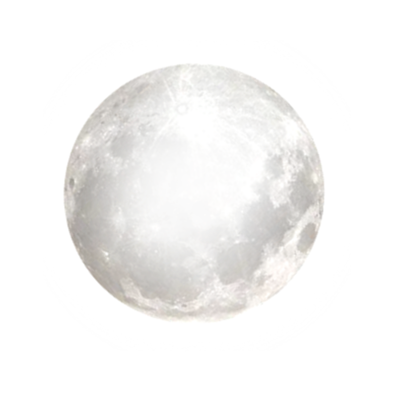 Nocturnal app icon